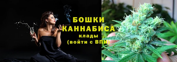 стаф Аркадак