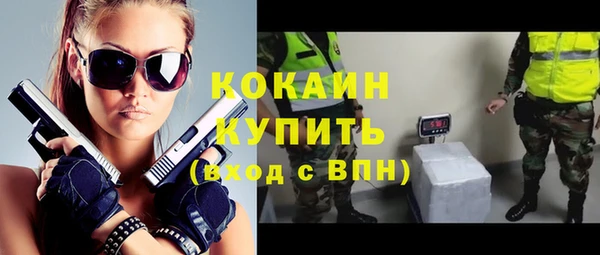 стаф Аркадак