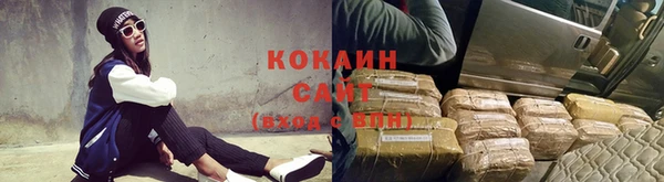 стаф Аркадак