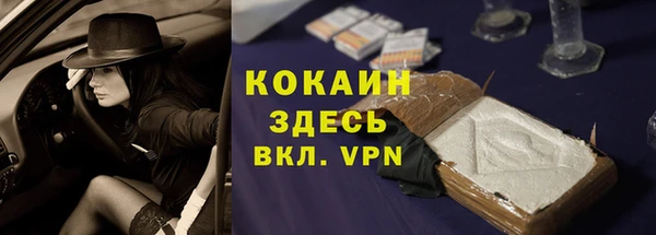 стаф Аркадак