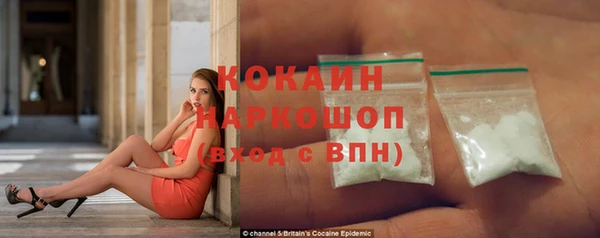 стаф Аркадак