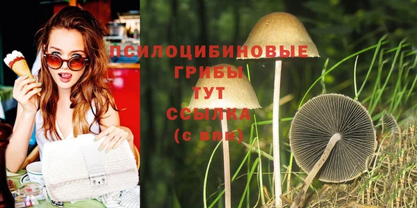 спиды Арсеньев