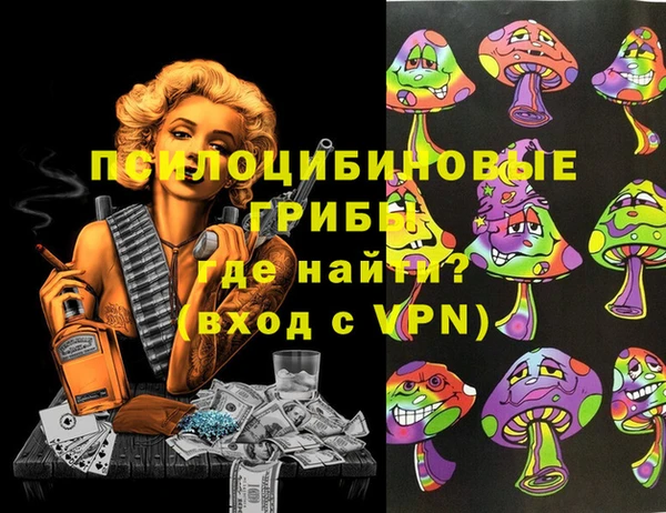 бошки Алексин