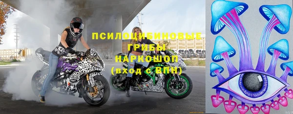 стаф Аркадак