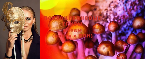 бошки Алексин