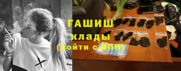 стаф Аркадак